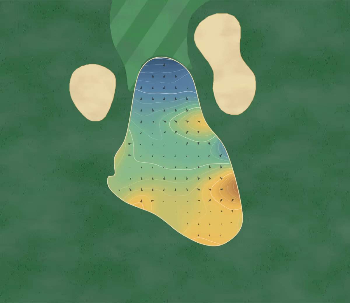 Green contour map of Oliver's Nest in Oakwood, Canada: 231 elevation contours at a 8-centimeter interval with fall-line arrows, traced from 1-meter lidar