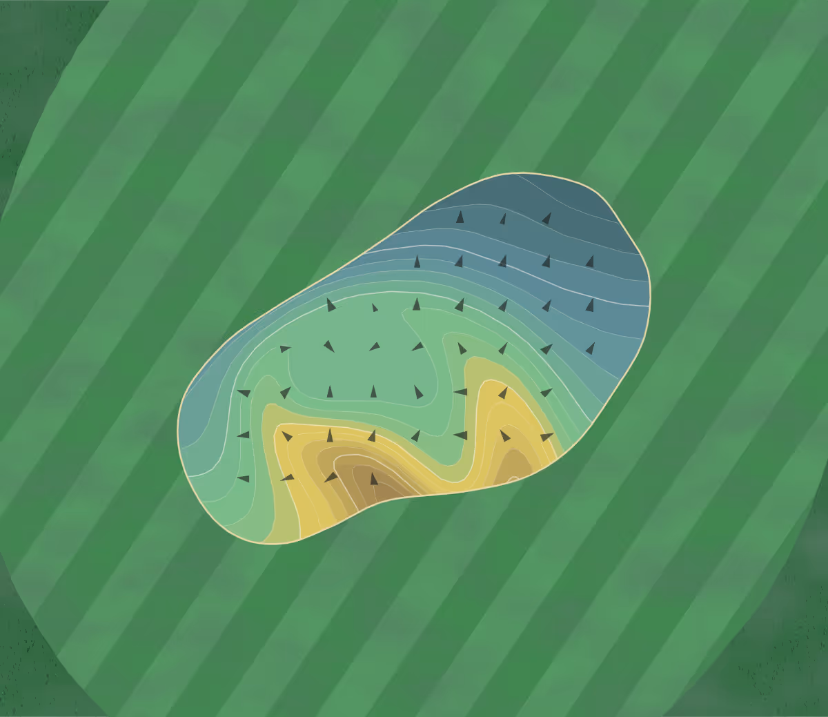 Green contour map of Olmos Basin in San Antonio, Texas — 148 elevation contours at a 3-inch interval with fall-line arrows, traced from 1-meter lidar