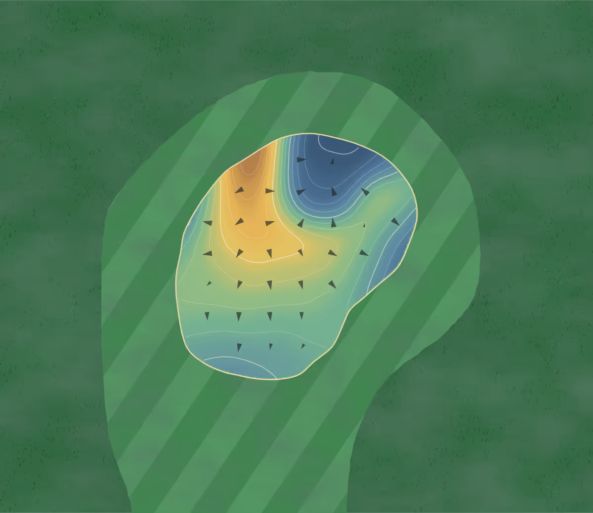 Green contour map of Omaha Beach in Omaha Beach, New Zealand — 156 elevation contours at a 8-centimeter interval with fall-line arrows, traced from 1-meter lidar