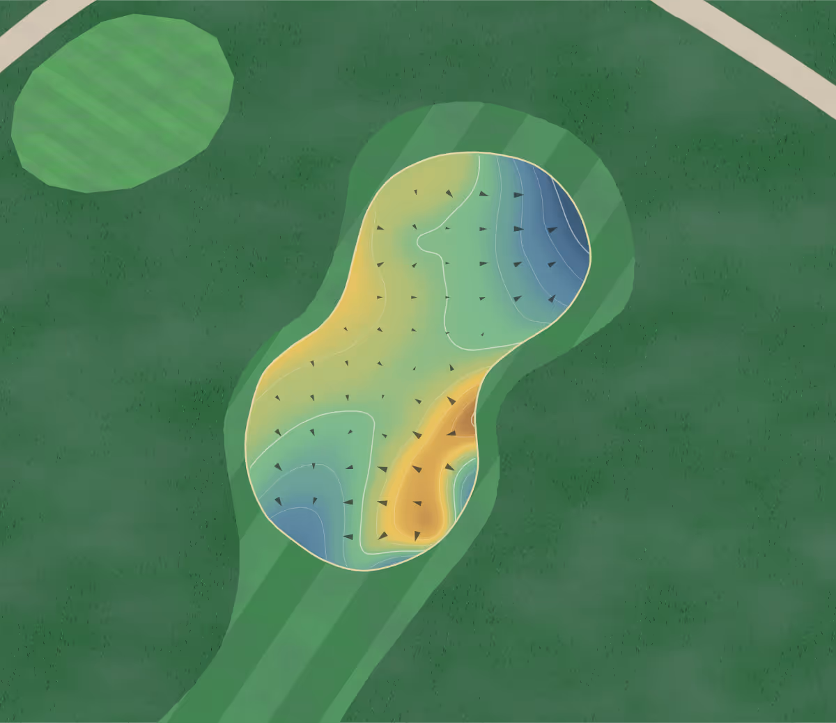 Green contour map of Omanu in Mount Maunganui, New Zealand — 174 elevation contours at a 8-centimeter interval with fall-line arrows, traced from 1-meter lidar