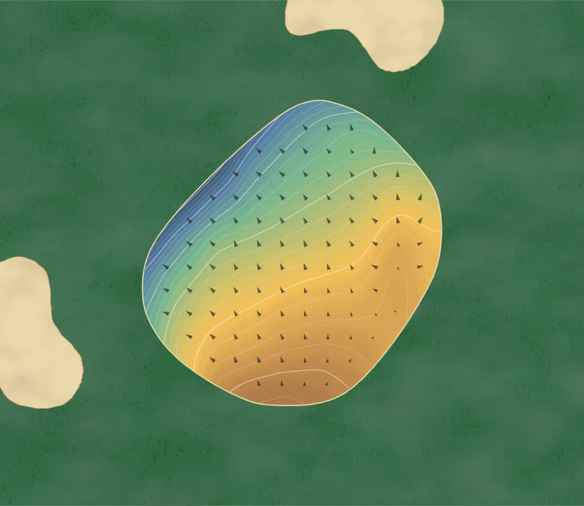 Green contour map of Onomichi Uzushio in Onomichi, Japan: 204 elevation contours at a 8-centimeter interval with fall-line arrows, traced from 1-meter lidar
