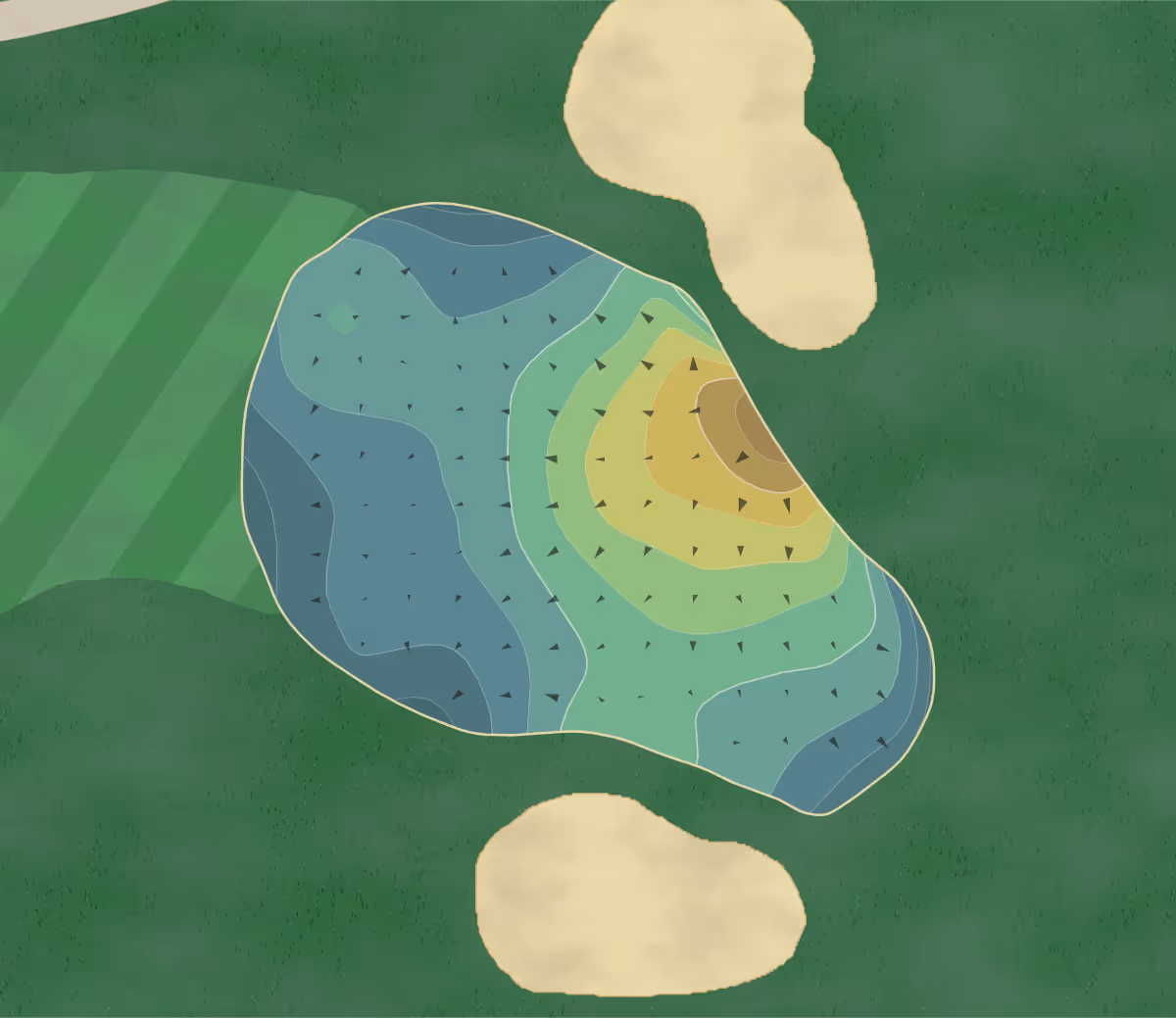 Green contour map of Orangeburg CC in Orangeburg, South Carolina — 164 elevation contours at a 3-inch interval with fall-line arrows, traced from 1-meter lidar
