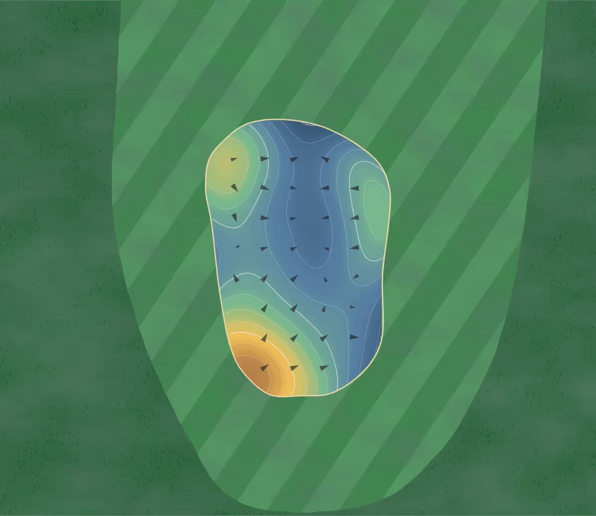 Green contour map of Orara Park in Coutts Crossing, Australia — 66 elevation contours at a 8-centimeter interval with fall-line arrows, traced from 1-meter lidar