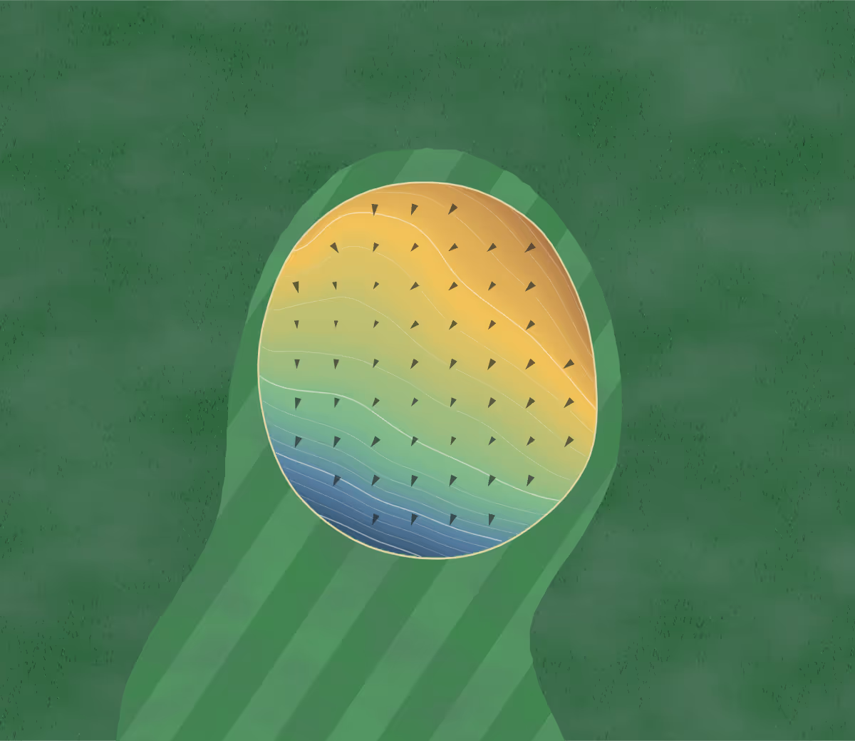 Green contour map of Orchard Vali in Lafayette, New York: 139 elevation contours at a 3-inch interval with fall-line arrows, traced from 1-meter lidar