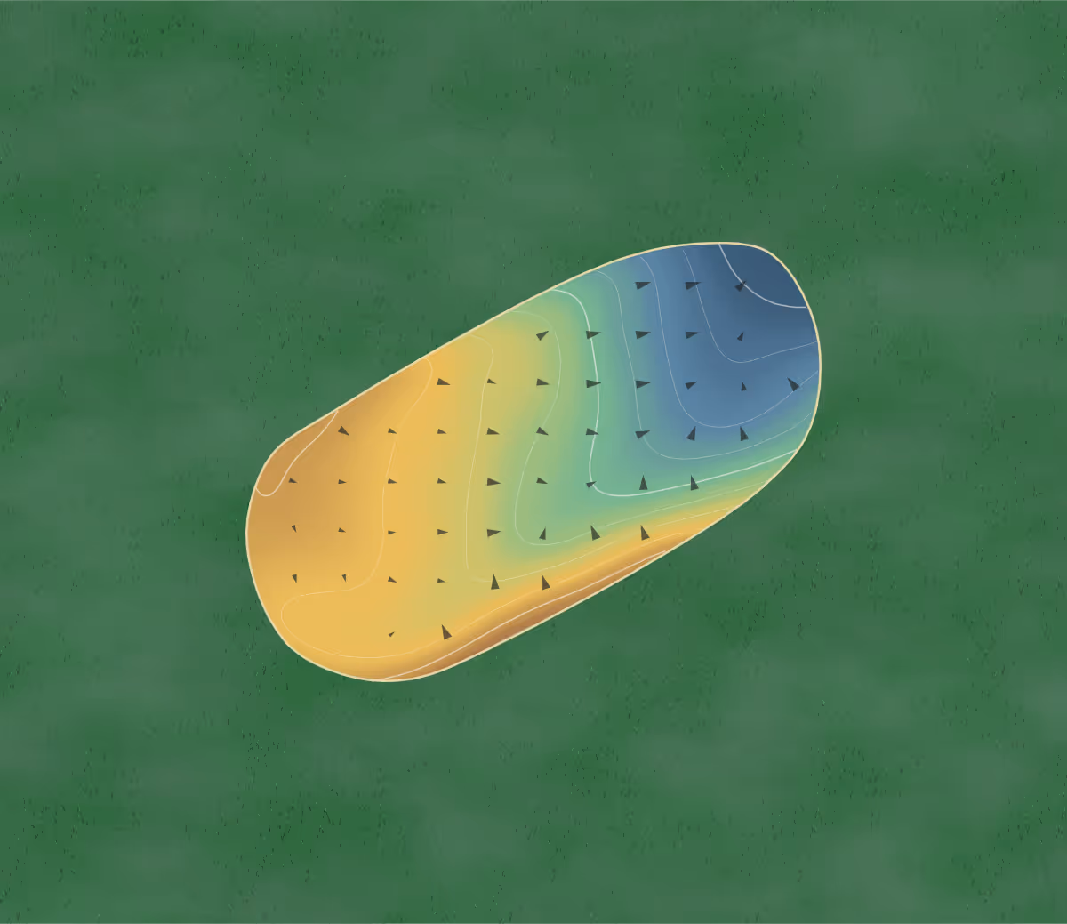 Green contour map of Otakou in Dunedin, New Zealand — 56 elevation contours at a 8-centimeter interval with fall-line arrows, traced from 1-meter lidar