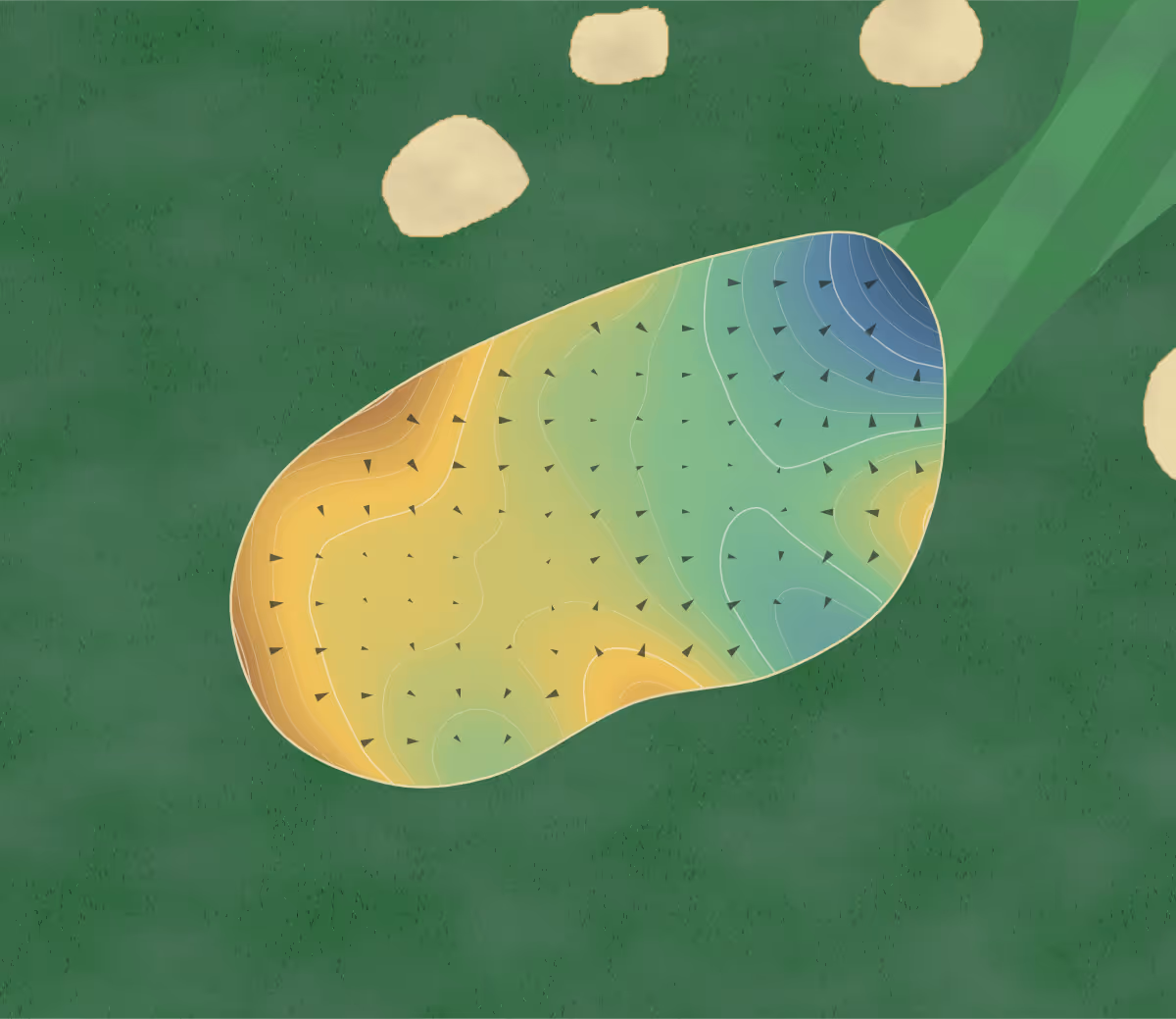 Green contour map of Ottawa Hunt in Canada: 93 elevation contours at a 8-centimeter interval with fall-line arrows, traced from 1-meter lidar
