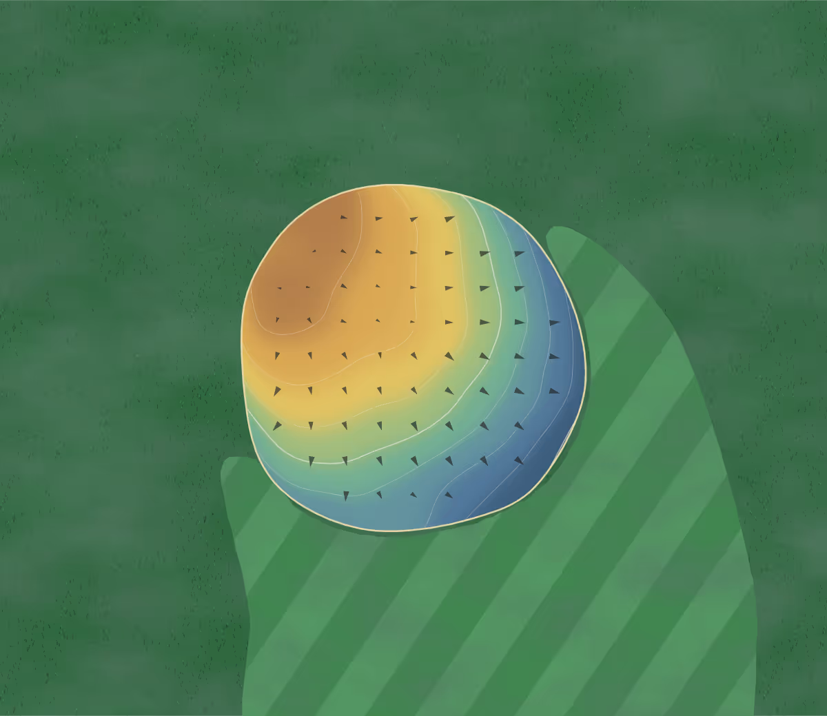 Green contour map of Pacific Playgrounds in Comox-Strathcona C, Canada: 8 elevation contours at a 8-centimeter interval with fall-line arrows, traced from 1-meter lidar