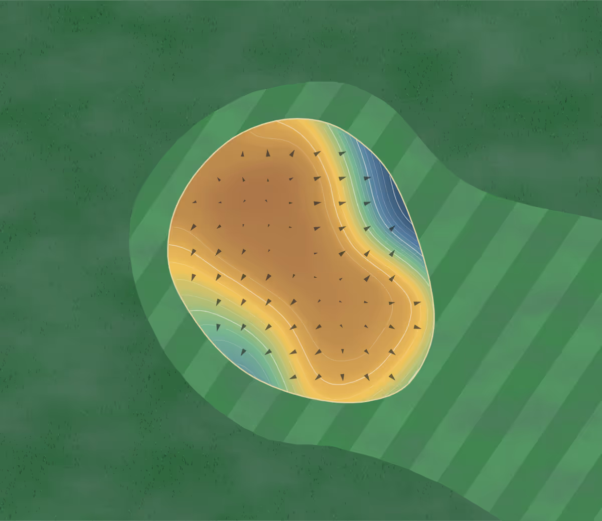 Green contour map of Palmer Woods in Dutton, Canada: 98 elevation contours at a 8-centimeter interval with fall-line arrows, traced from 1-meter lidar