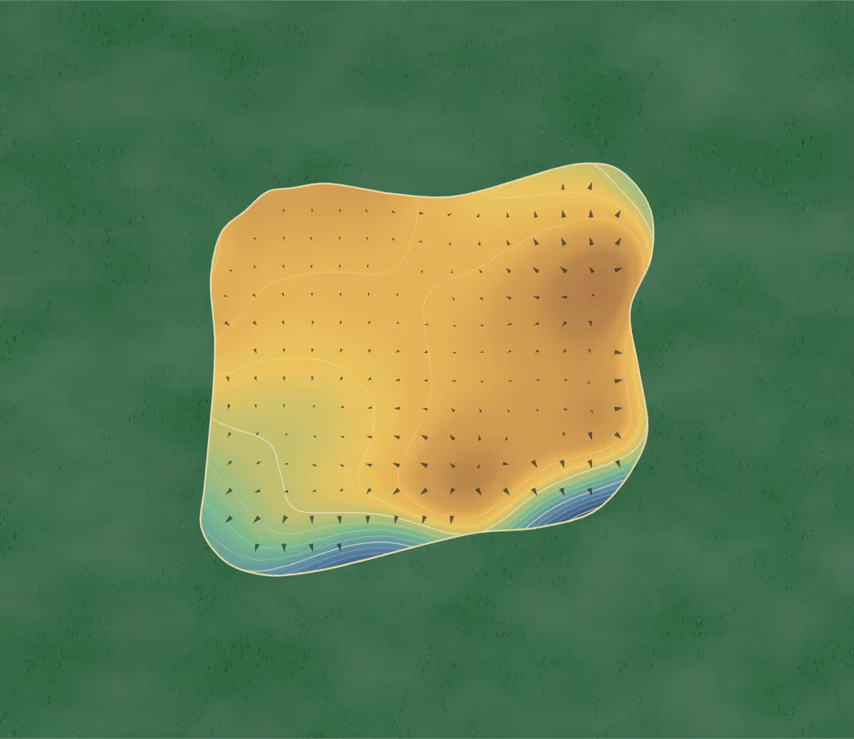 Green contour map of Palmerstown House in Naas, Ireland — 221 elevation contours at a 8-centimeter interval with fall-line arrows, traced from 1-meter lidar
