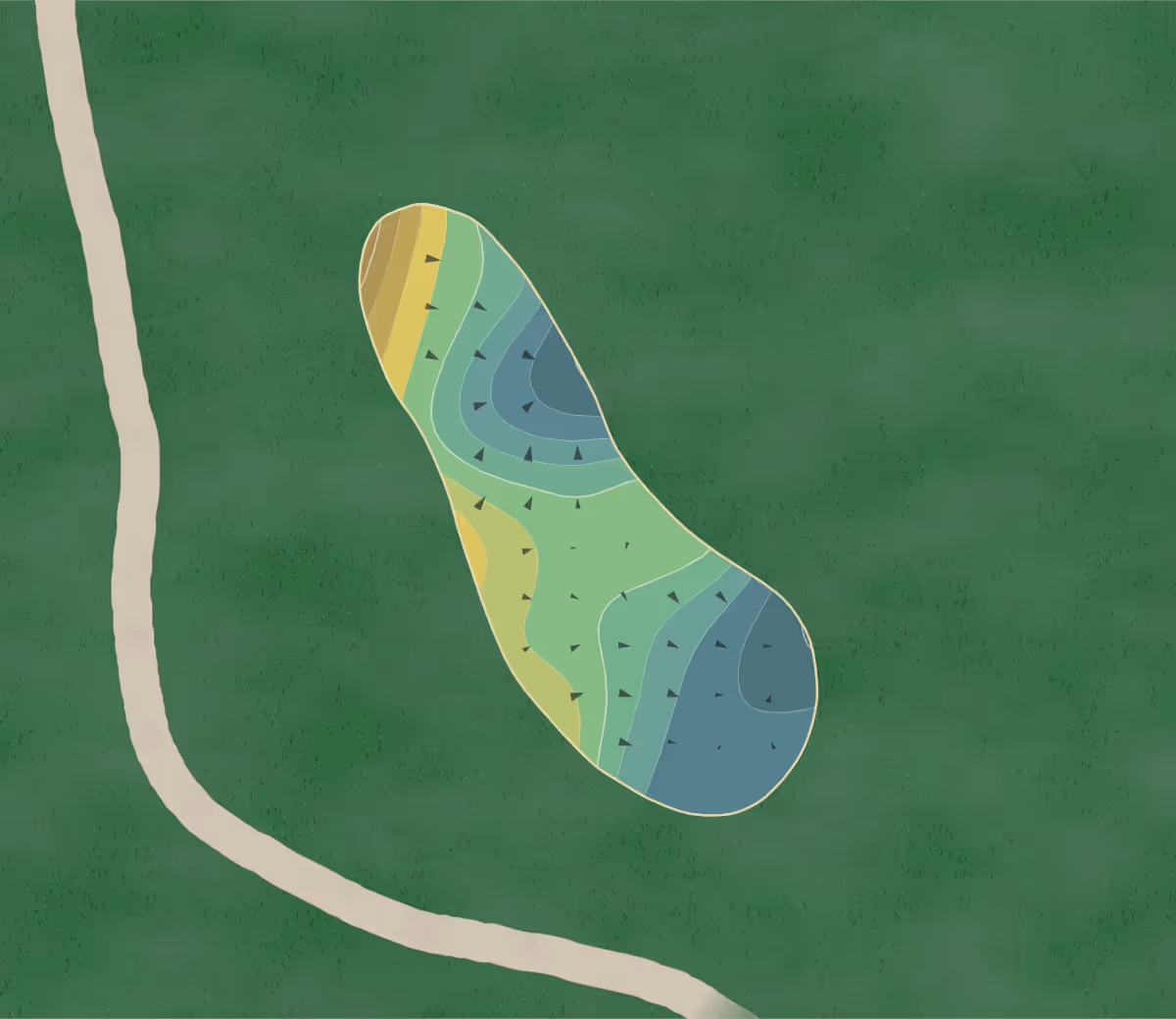 Green contour map of Hills Course in Hilton Head, South Carolina — 164 elevation contours at a 3-inch interval with fall-line arrows, traced from 1-meter lidar