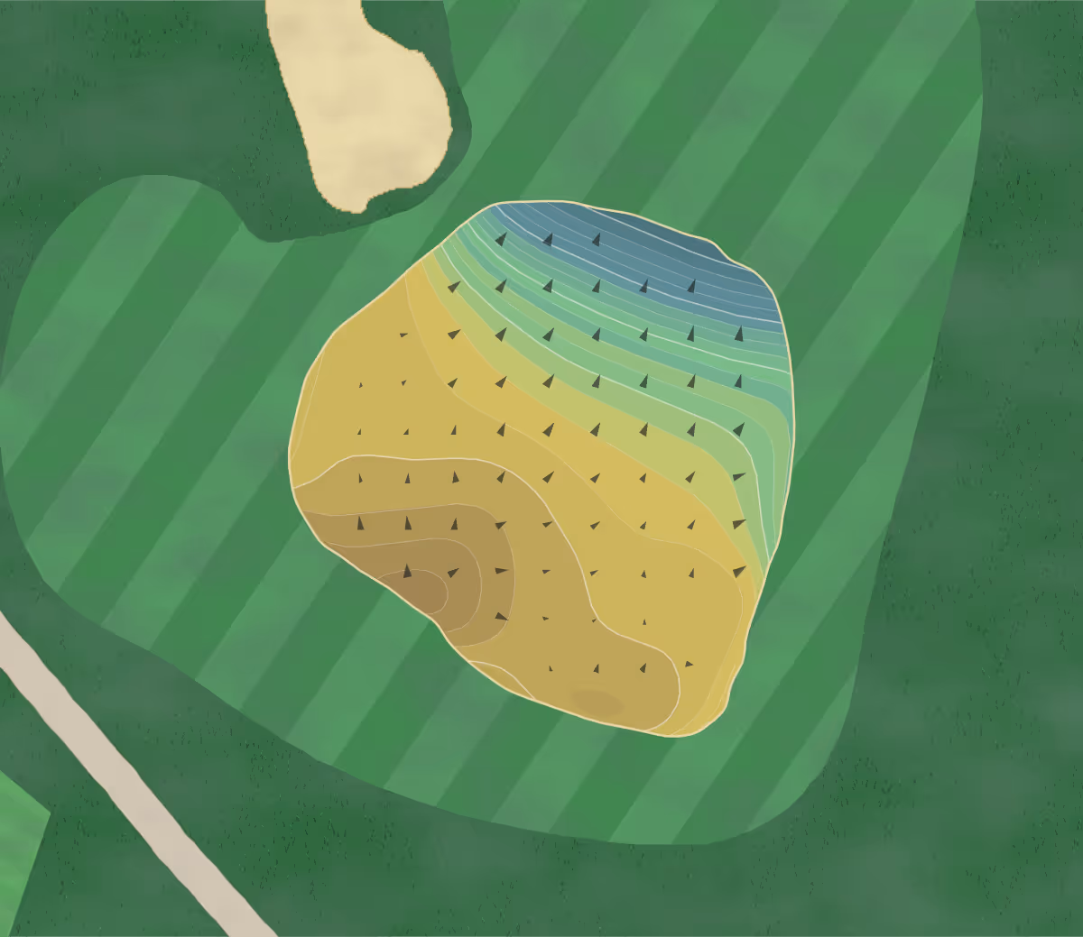 Green contour map of Palmetto Golf in Aiken, South Carolina — 253 elevation contours at a 3-inch interval with fall-line arrows, traced from 1-meter lidar