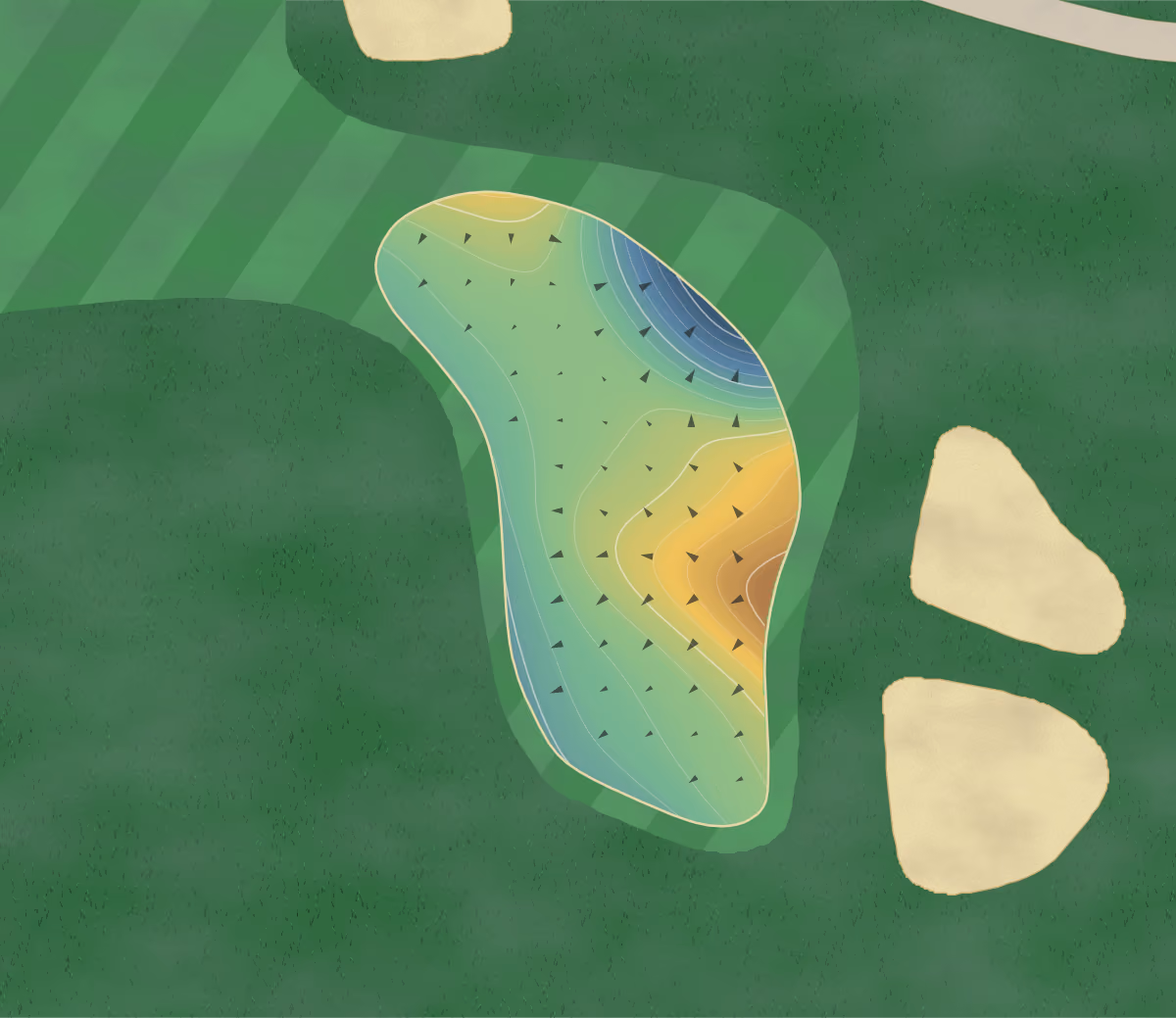Green contour map of Palmetto Hall in Hilton Head Island, South Carolina: 213 elevation contours at a 3-inch interval with fall-line arrows, traced from 1-meter lidar