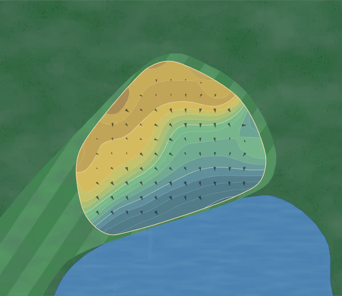 Green contour map of Palmetto Hall (Hills) in Hilton Head Island, South Carolina — 145 elevation contours at a 3-inch interval with fall-line arrows, traced from 1-meter lidar
