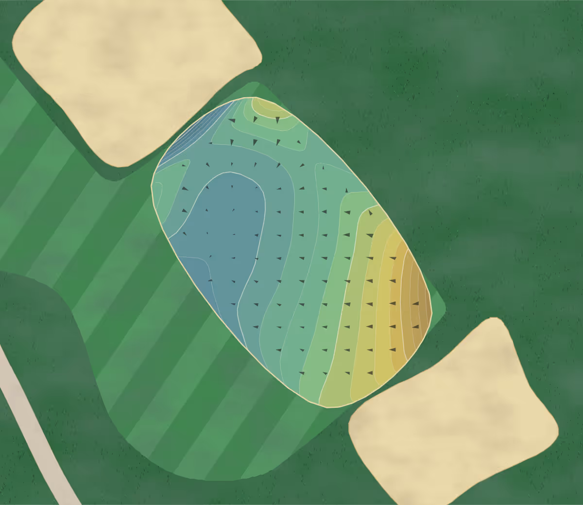 Green contour map of Palmetto Hall (Cupp) in Hilton Head Island, South Carolina — 219 elevation contours at a 3-inch interval with fall-line arrows, traced from 1-meter lidar