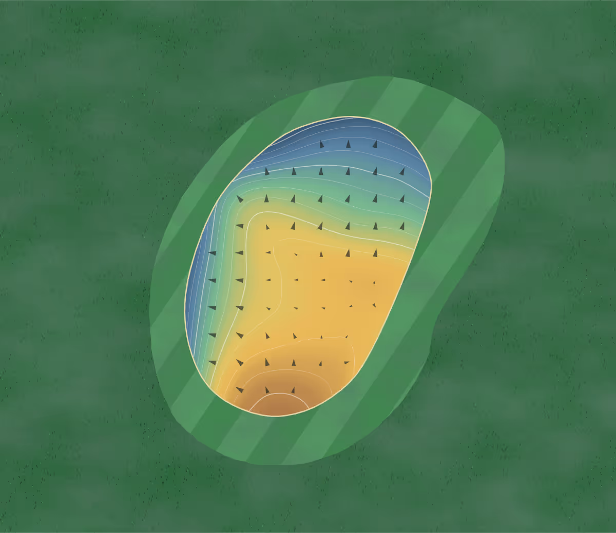 Green contour map of Palmetto Hills in Spartanburg, South Carolina: 238 elevation contours at a 3-inch interval with fall-line arrows, traced from 1-meter lidar