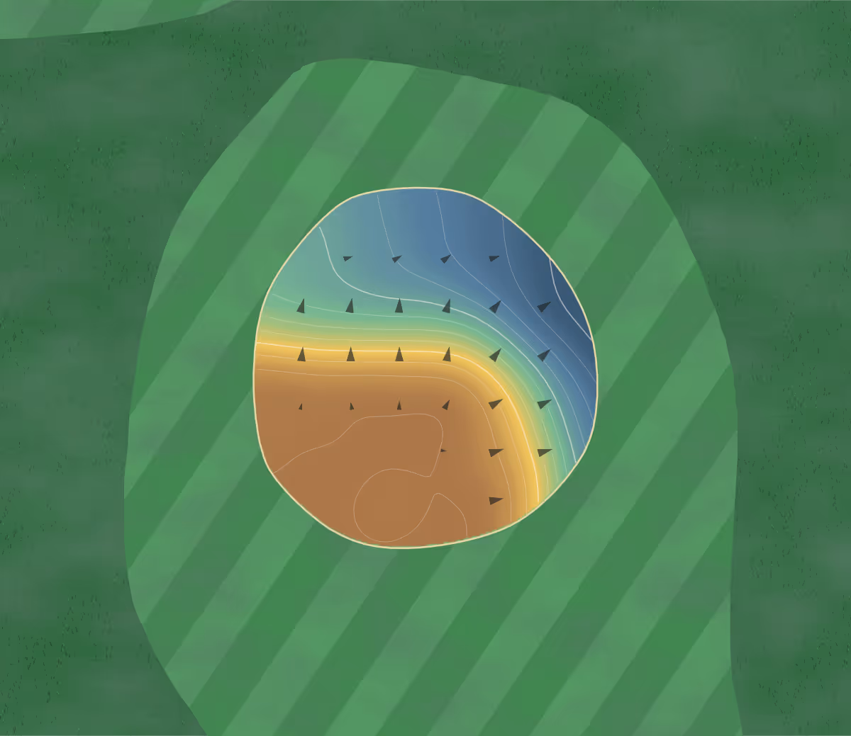 Green contour map of Palmetto Pines in Parrish, Florida: 46 elevation contours at a 3-inch interval with fall-line arrows, traced from 1-meter lidar
