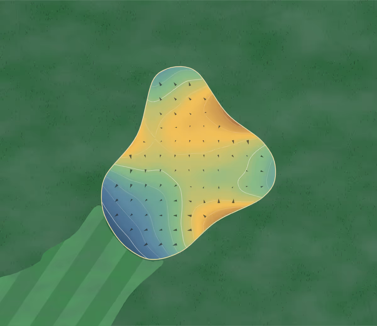 Green contour map of Paola in Paola, Kansas: 85 elevation contours at a 3-inch interval with fall-line arrows, traced from 1-meter lidar