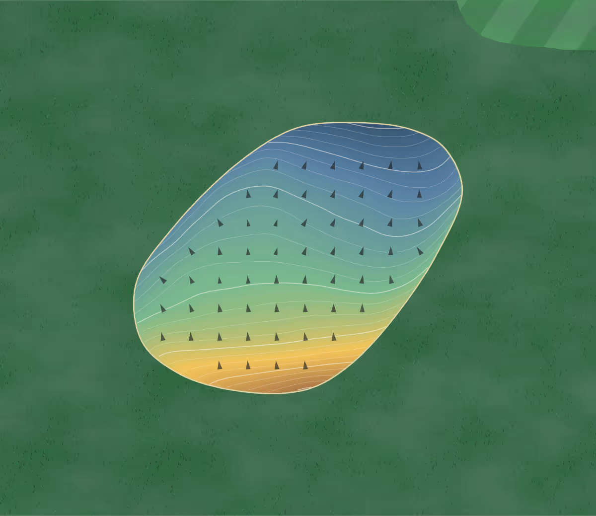 Green contour map of Paparoa in Maungaturoto, New Zealand — 59 elevation contours at a 8-centimeter interval with fall-line arrows, traced from 1-meter lidar
