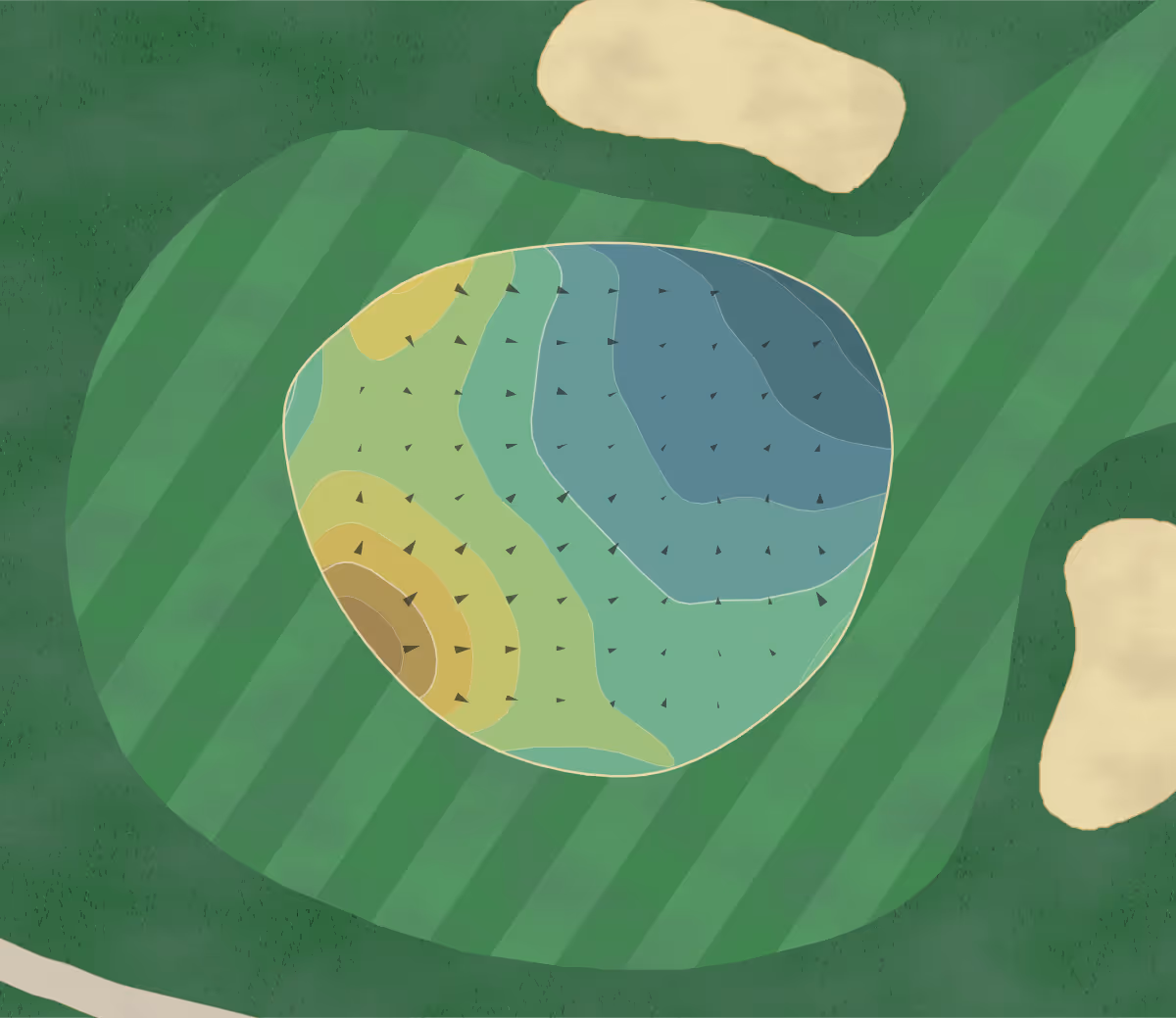 Green contour map of Park CC in Williamsville, New York — 205 elevation contours at a 3-inch interval with fall-line arrows, traced from 1-meter lidar