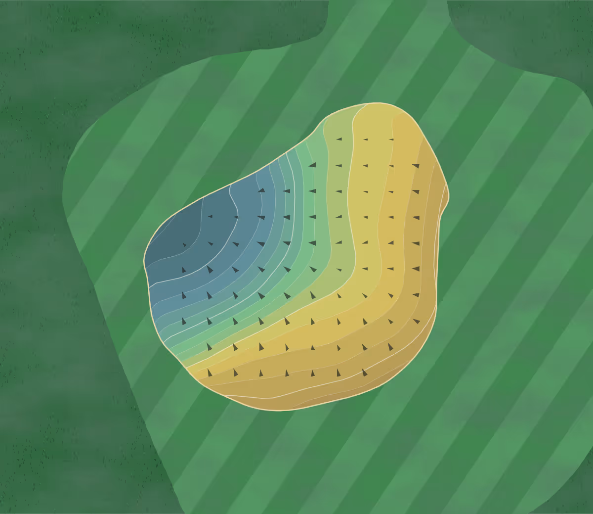 Green contour map of Park Ridge in Lake Worth, Florida — 174 elevation contours at a 3-inch interval with fall-line arrows, traced from 1-meter lidar