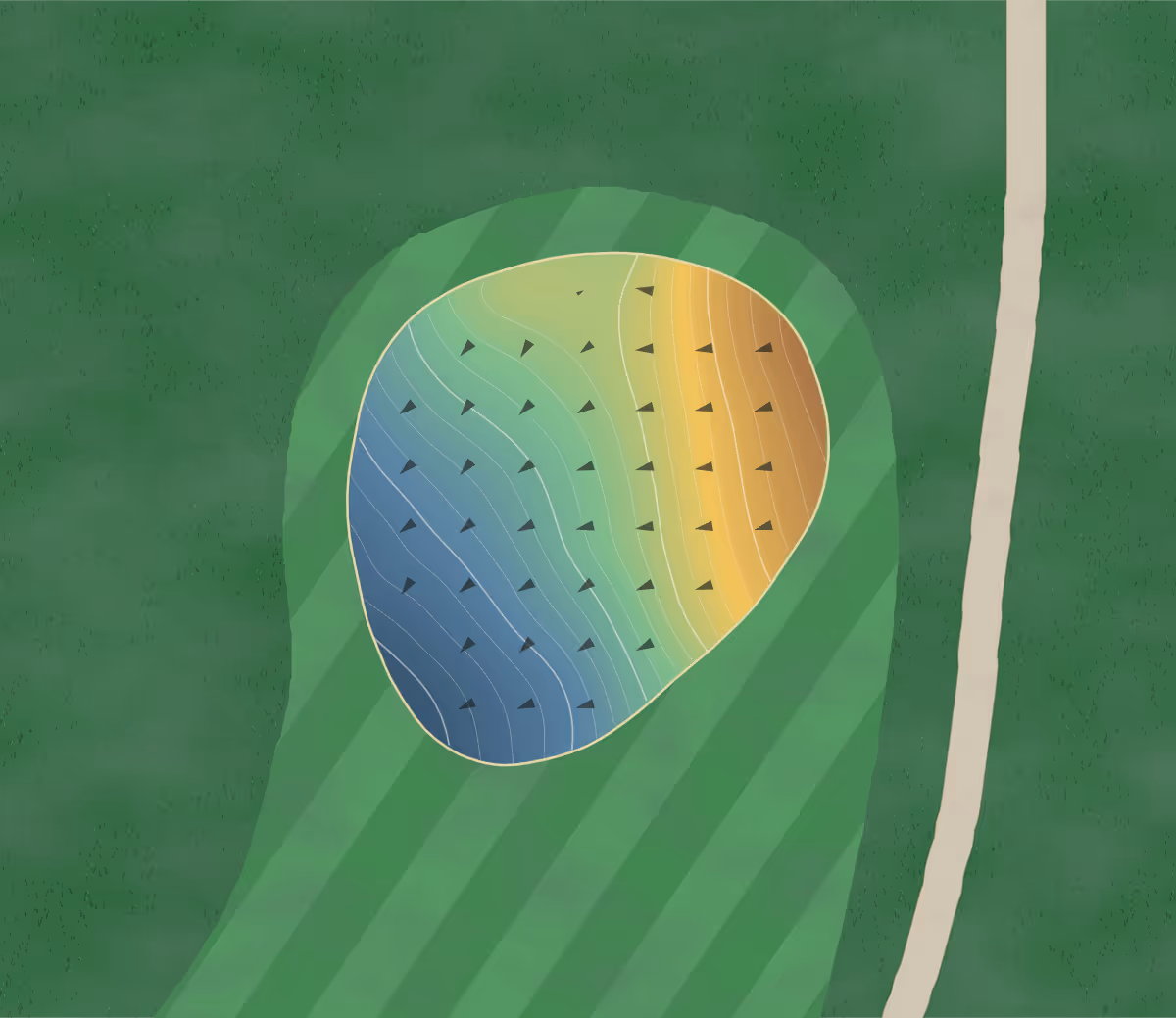 Green contour map of Paschal in Wake Forest, North Carolina: 80 elevation contours at a 3-inch interval with fall-line arrows, traced from 1-meter lidar