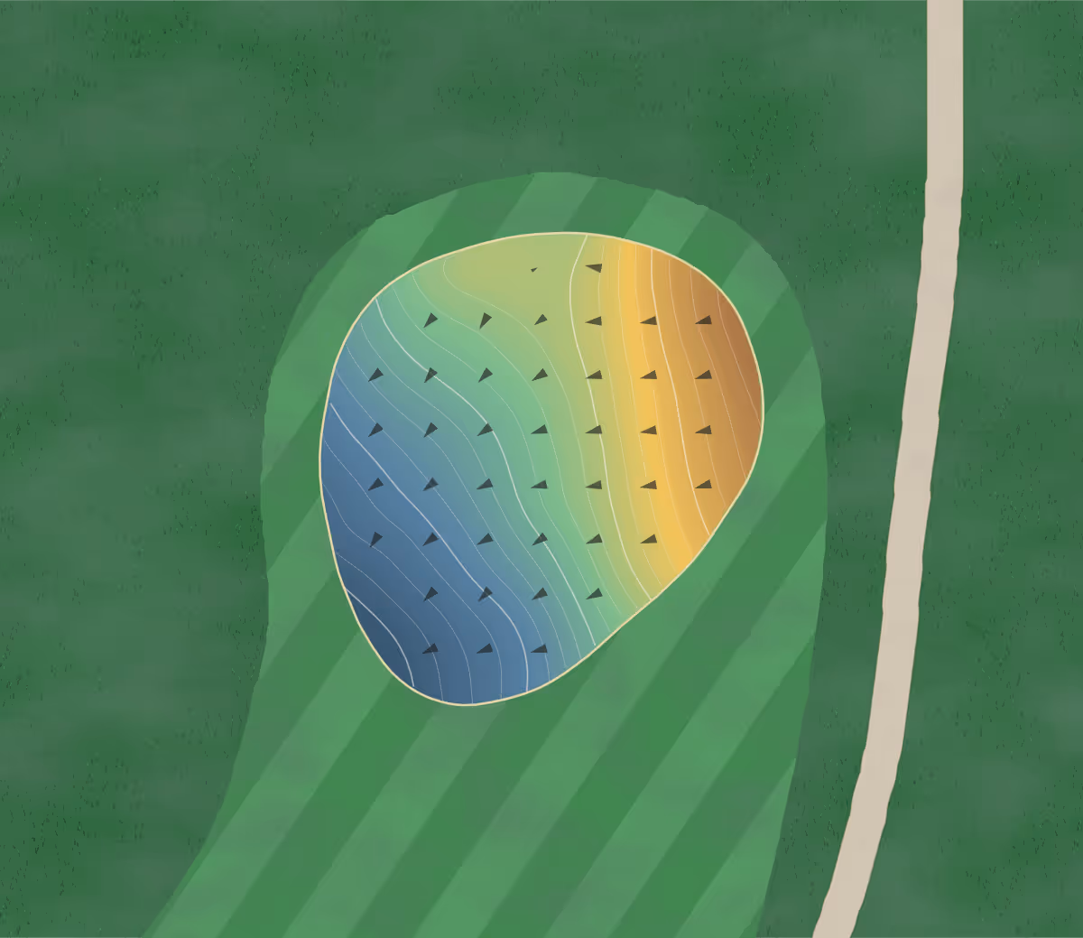 Green contour map of Paschal in Wake Forest, North Carolina — 80 elevation contours at a 3-inch interval with fall-line arrows, traced from 1-meter lidar