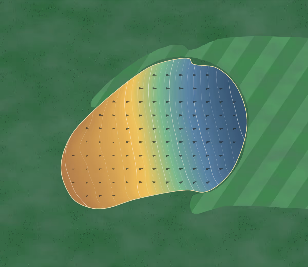 Green contour map of Patriot Hills in Jefferson City, Tennessee: 197 elevation contours at a 3-inch interval with fall-line arrows, traced from 1-meter lidar