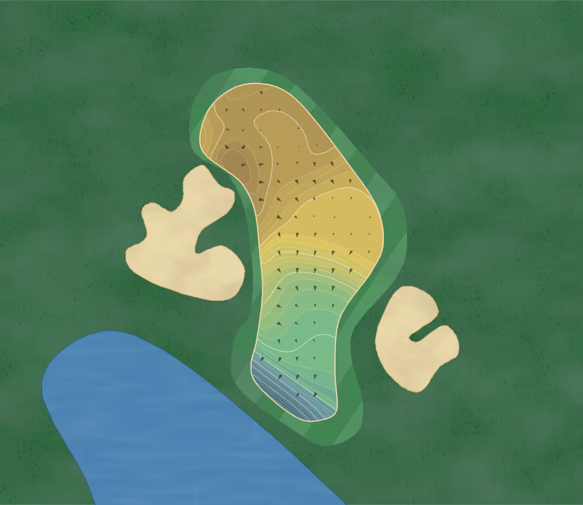Green contour map of Peacock Gap in San Rafael, California — 226 elevation contours at a 3-inch interval with fall-line arrows, traced from 1-meter lidar