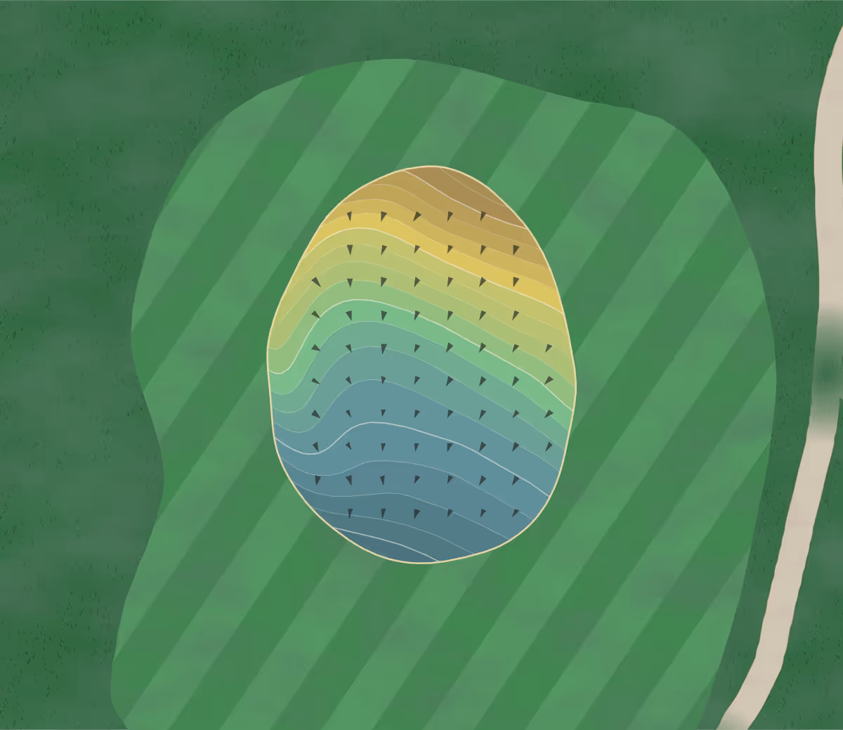 Green contour map of Pebble Lake in Fergus Falls, Minnesota — 264 elevation contours at a 3-inch interval with fall-line arrows, traced from 1-meter lidar