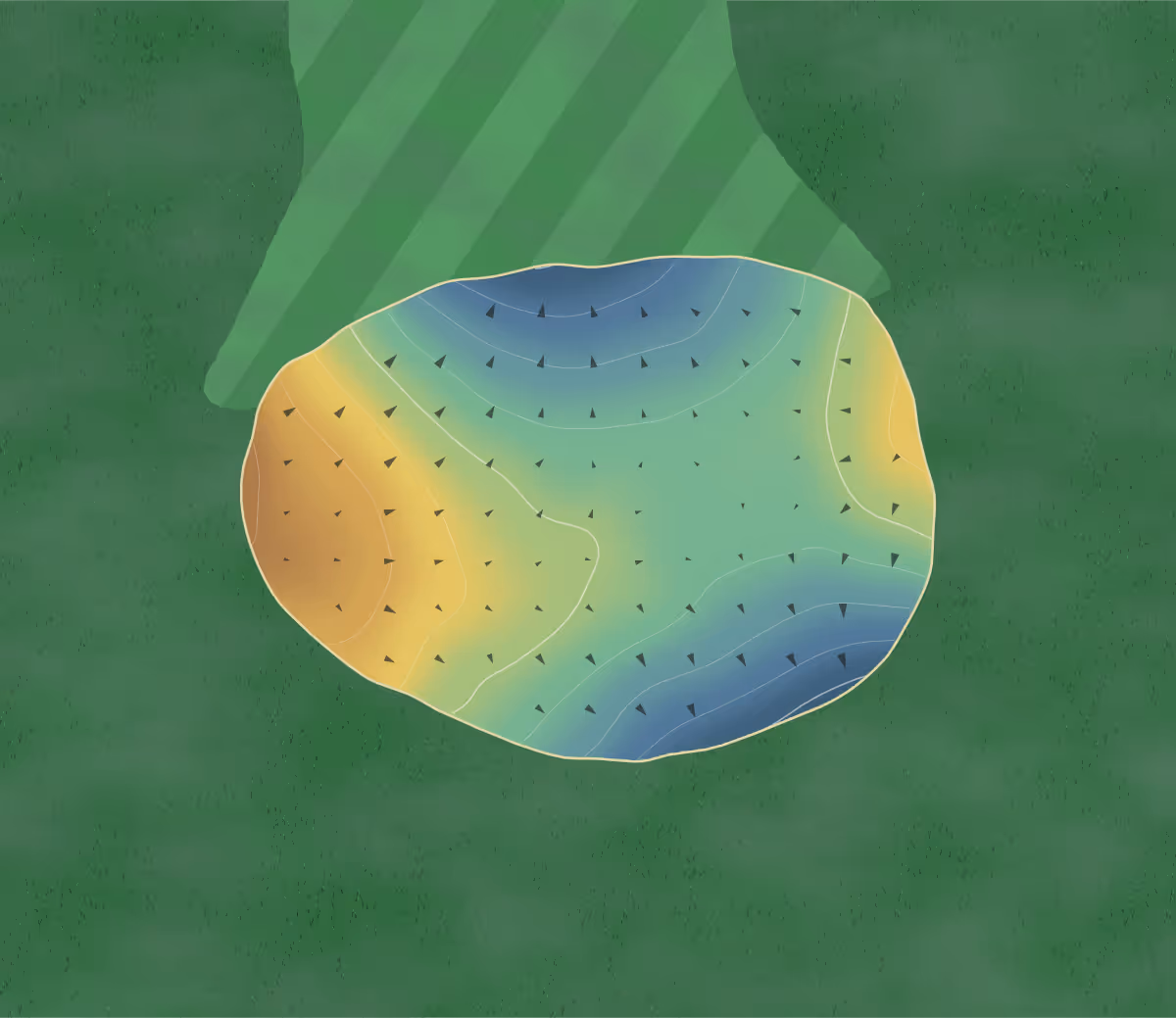 Green contour map of Pelham Hills in Welland, Canada — 120 elevation contours at a 8-centimeter interval with fall-line arrows, traced from 1-meter lidar
