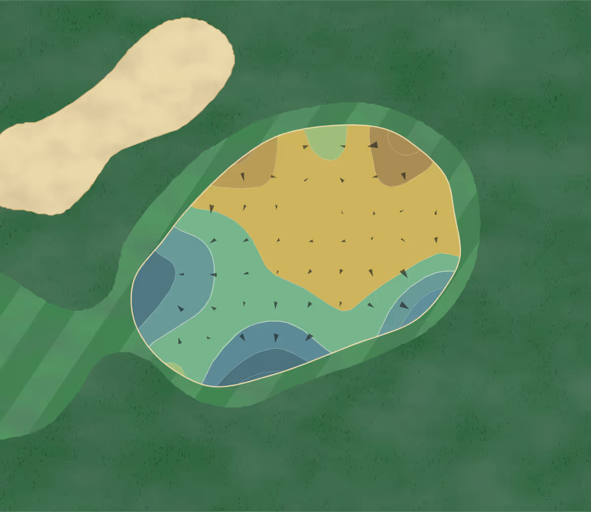 Green contour map of Pelican Pointe in Venice, Florida — 216 elevation contours at a 3-inch interval with fall-line arrows, traced from 1-meter lidar