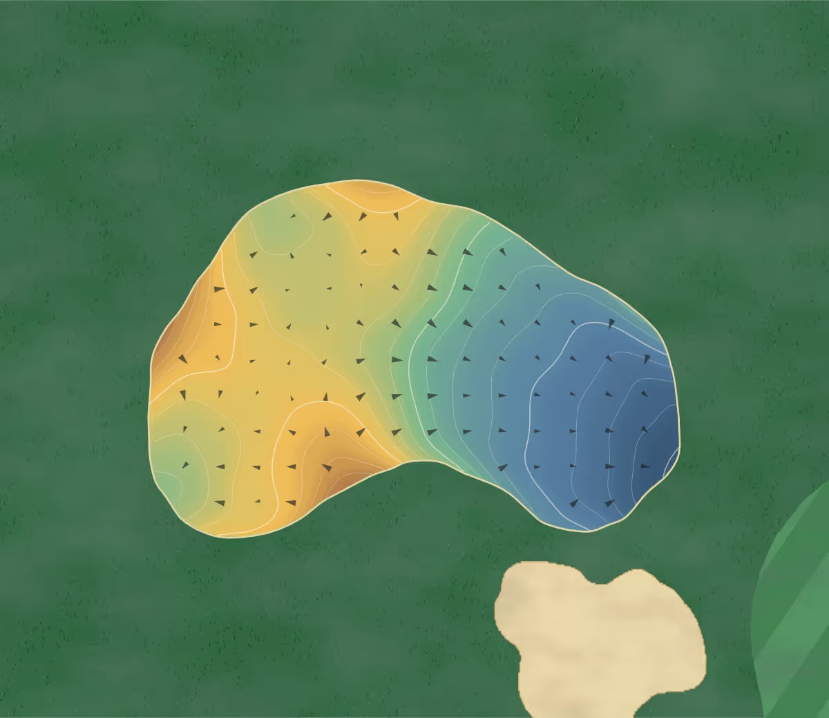 Green contour map of Peninsula Golf and in Gulf Shores, Alabama — 204 elevation contours at a 3-inch interval with fall-line arrows, traced from 1-meter lidar