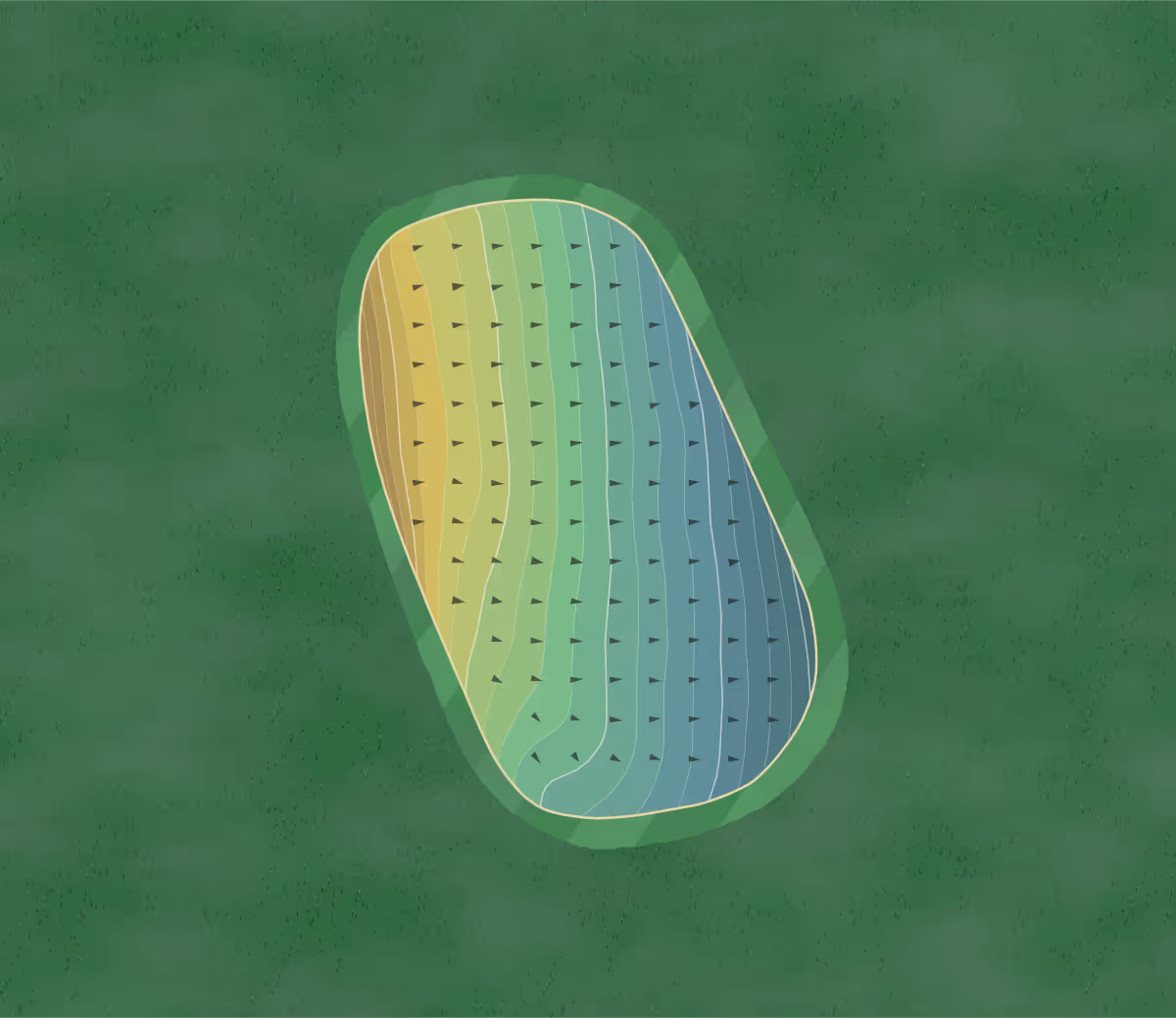 Green contour map of Peninsula State Park in Fish Creek, Wisconsin — 199 elevation contours at a 3-inch interval with fall-line arrows, traced from 1-meter lidar