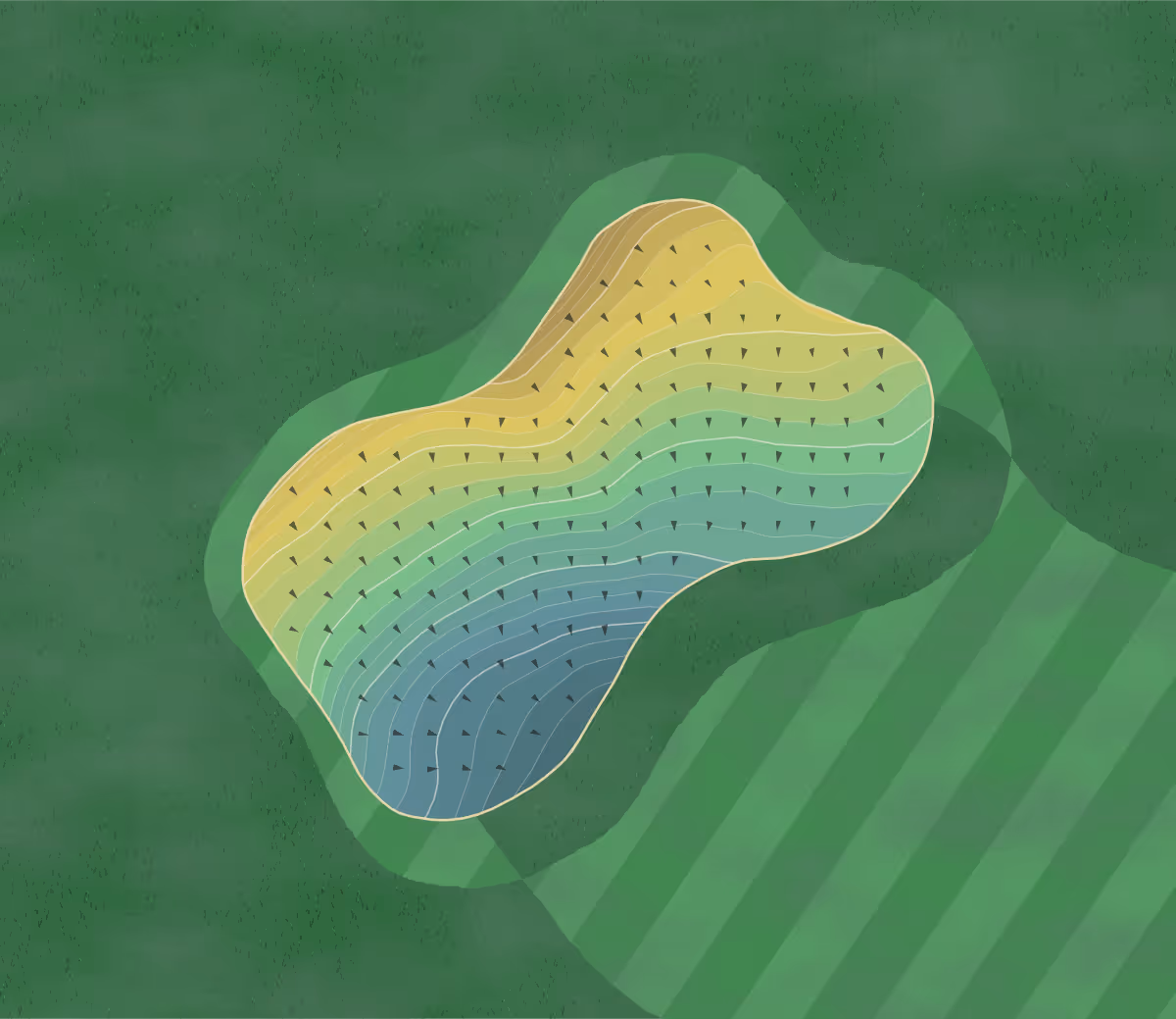Green contour map of Pennard in Swansea, Wales — 245 elevation contours at a 8-centimeter interval with fall-line arrows, traced from 1-meter lidar