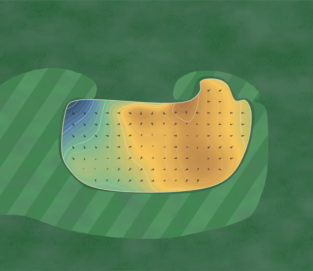 Green contour map of Pheasant Glen in Qualicum Beach, Canada: 249 elevation contours at a 8-centimeter interval with fall-line arrows, traced from 1-meter lidar