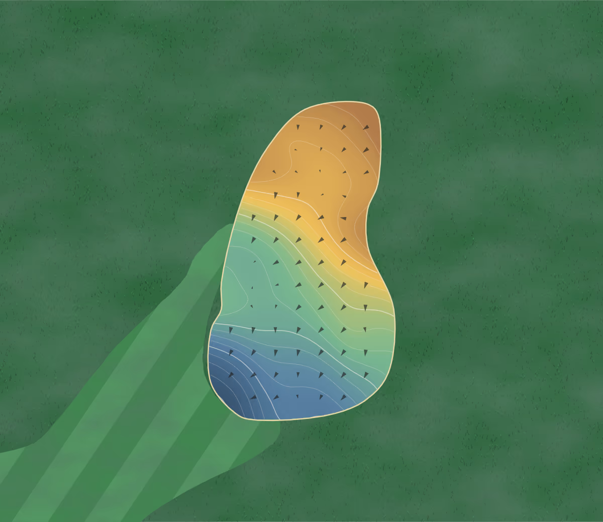 Green contour map of Piankatank River in Mollusk, Virginia: 205 elevation contours at a 3-inch interval with fall-line arrows, traced from 1-meter lidar