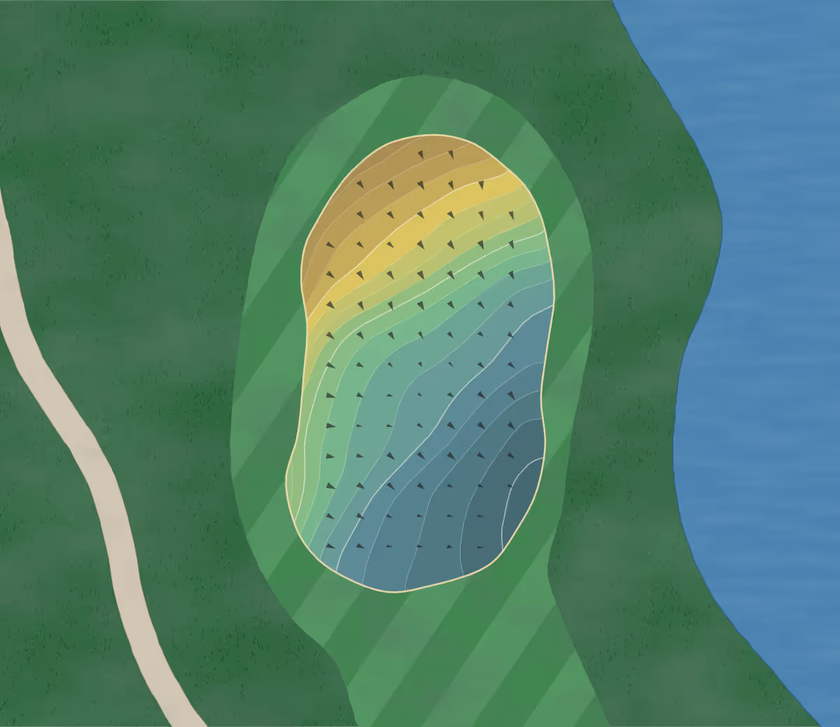 Green contour map of Pine Creek in Mount Juliet, Tennessee — 203 elevation contours at a 3-inch interval with fall-line arrows, traced from 1-meter lidar