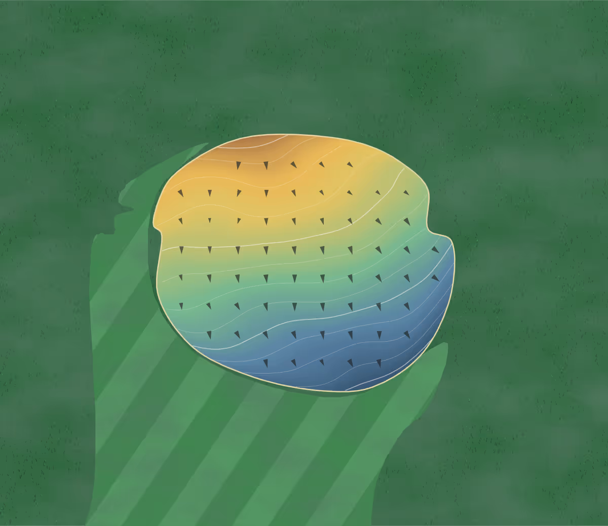 Green contour map of Pine Creek in La Crescent, Wisconsin: 77 elevation contours at a 3-inch interval with fall-line arrows, traced from 1-meter lidar