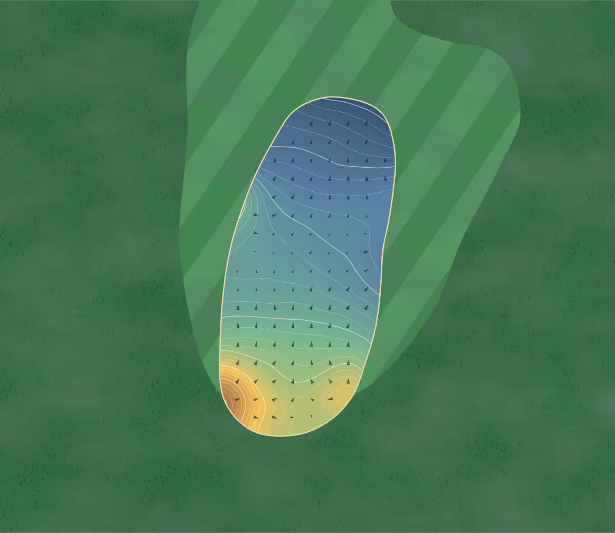 Green contour map of Pine Grove in Sudbury, Canada — 246 elevation contours at a 8-centimeter interval with fall-line arrows, traced from 1-meter lidar