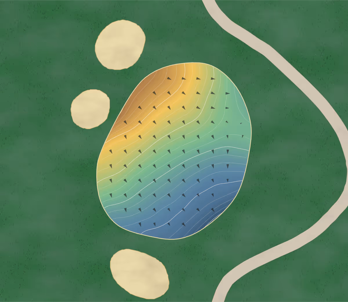 Green contour map of Pine Lake in Anderson, South Carolina: 261 elevation contours at a 3-inch interval with fall-line arrows, traced from 1-meter lidar