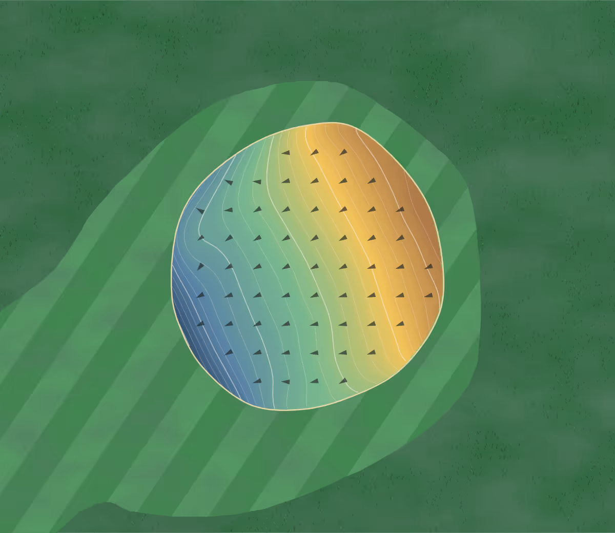 Green contour map of Pine Lakes in Rockford, Tennessee: 217 elevation contours at a 3-inch interval with fall-line arrows, traced from 1-meter lidar