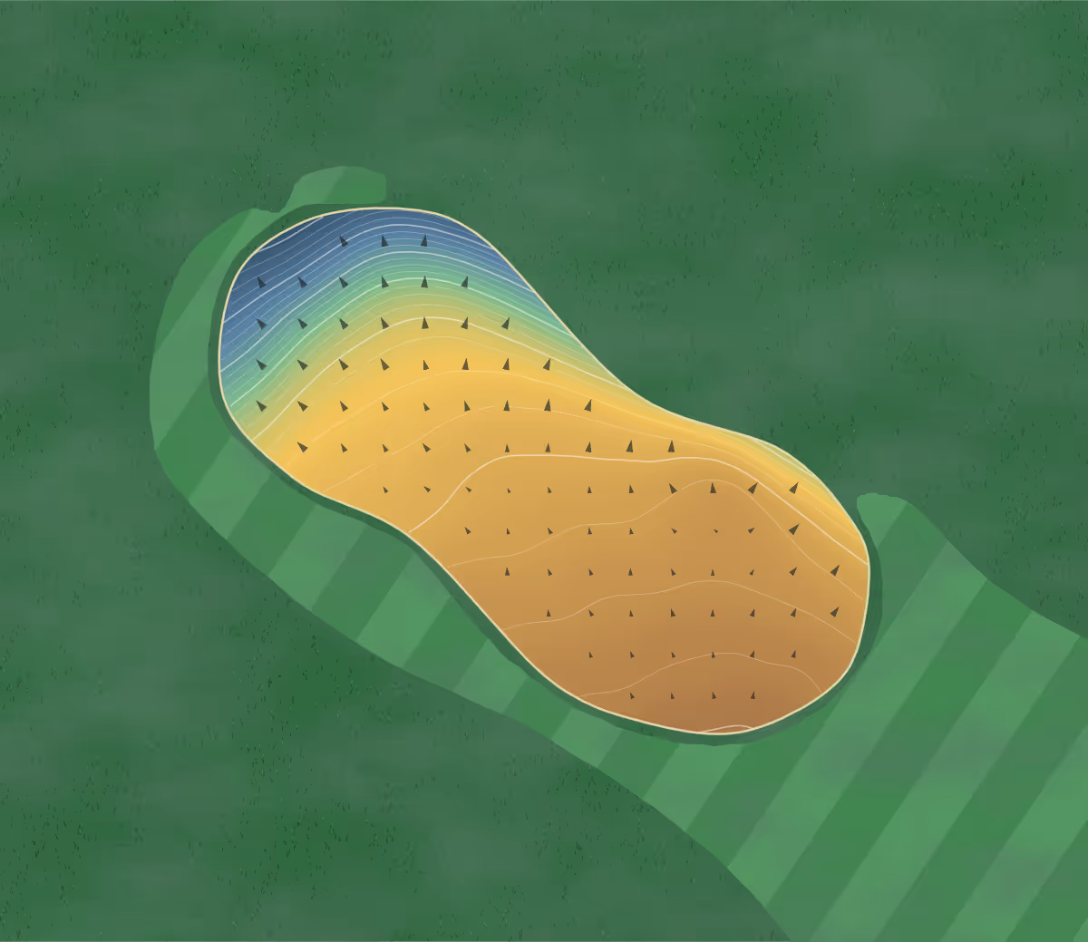 Green contour map of Pine Needles in Hampton, Canada: 236 elevation contours at a 8-centimeter interval with fall-line arrows, traced from 1-meter lidar
