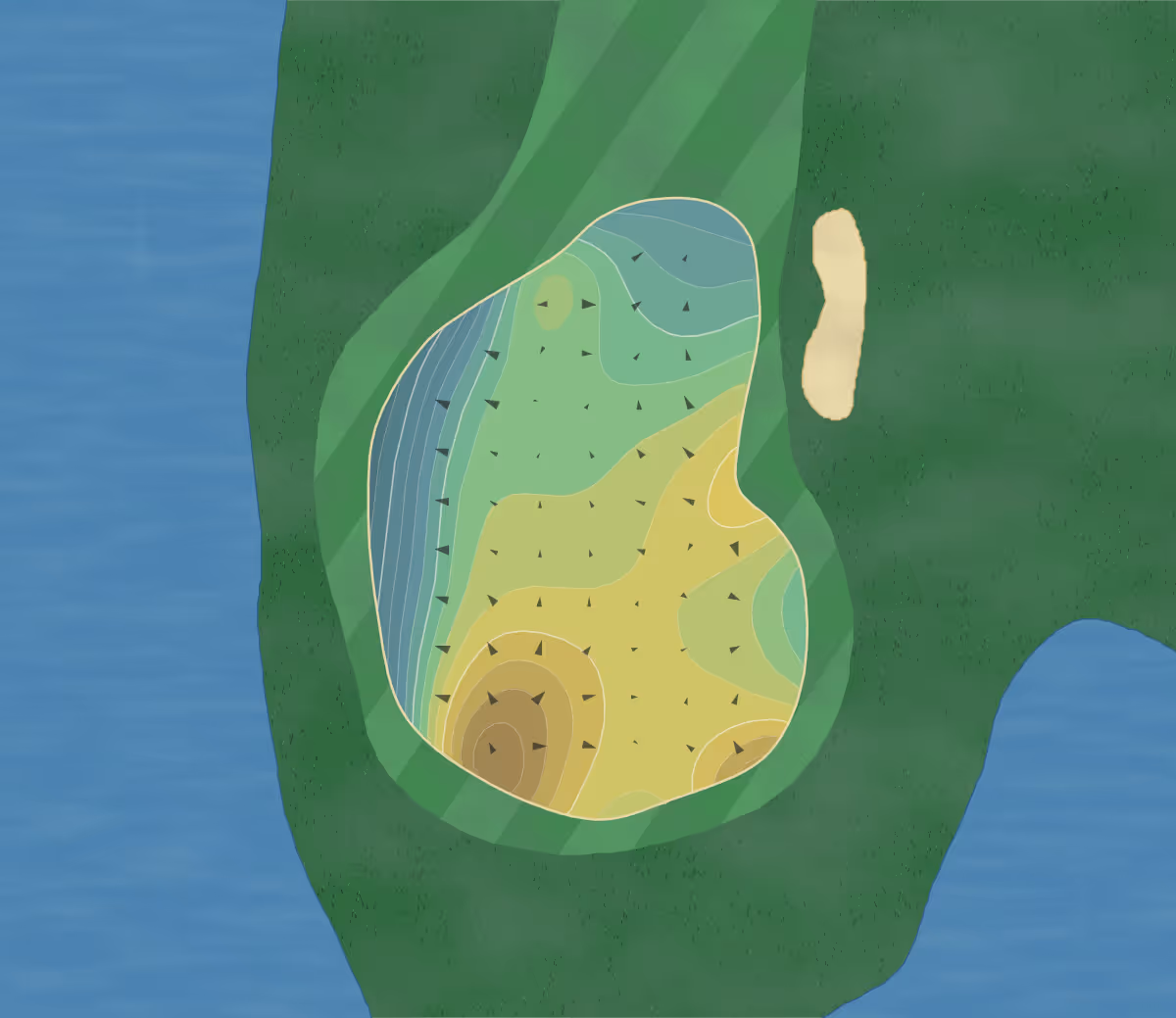 Green contour map of Pinebrook Ironwood in Bradenton, Florida — 202 elevation contours at a 3-inch interval with fall-line arrows, traced from 1-meter lidar