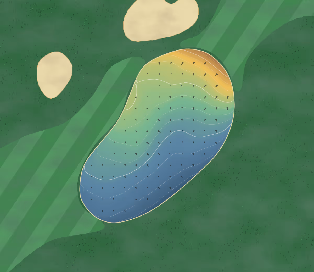 Green contour map of Pinecrest in Bluffton, South Carolina: 176 elevation contours at a 3-inch interval with fall-line arrows, traced from 1-meter lidar