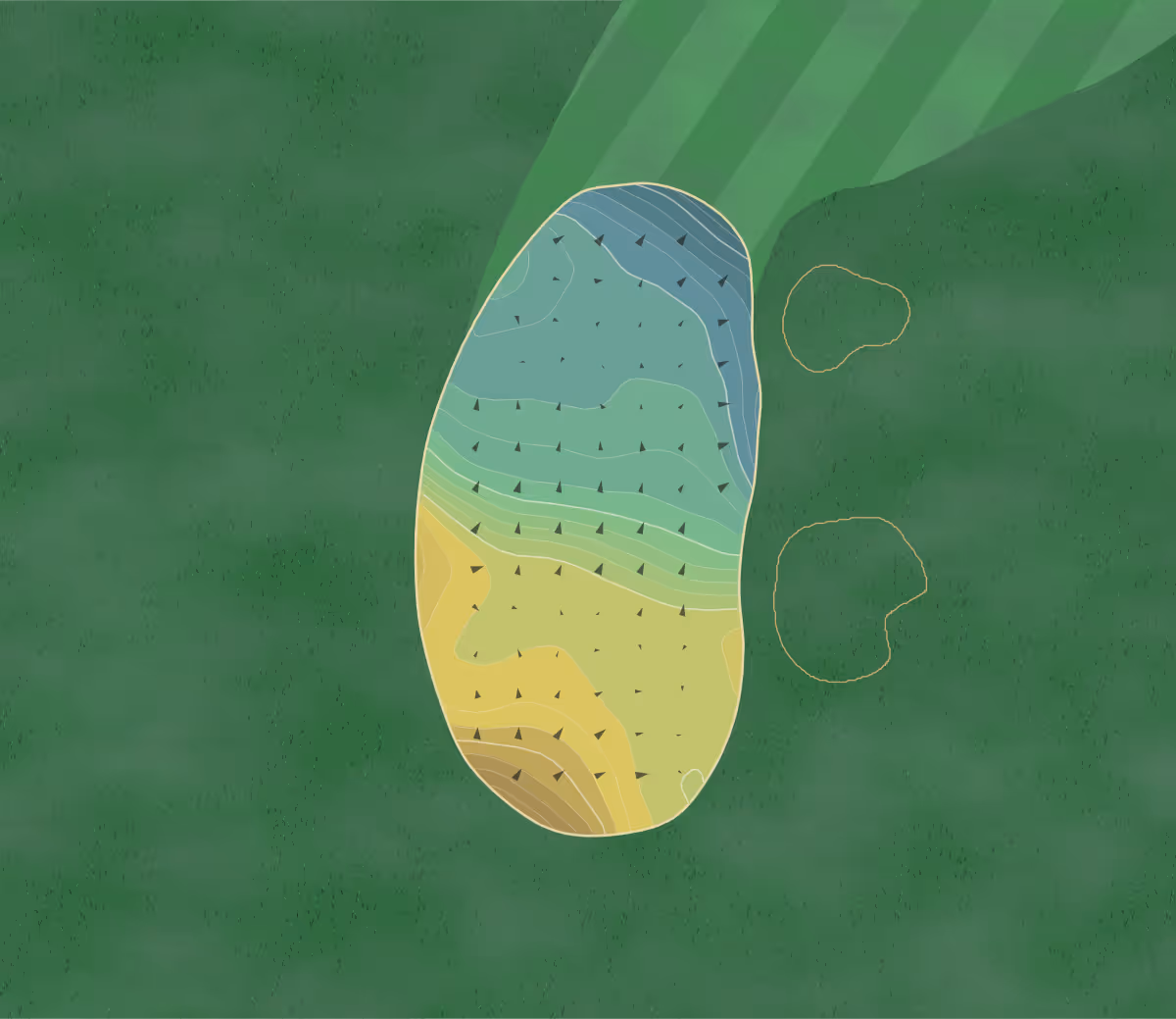 Green contour map of Pinehurst No. 6 in Pinehurst, North Carolina — 457 elevation contours at a 3-inch interval with fall-line arrows, traced from 1-meter lidar