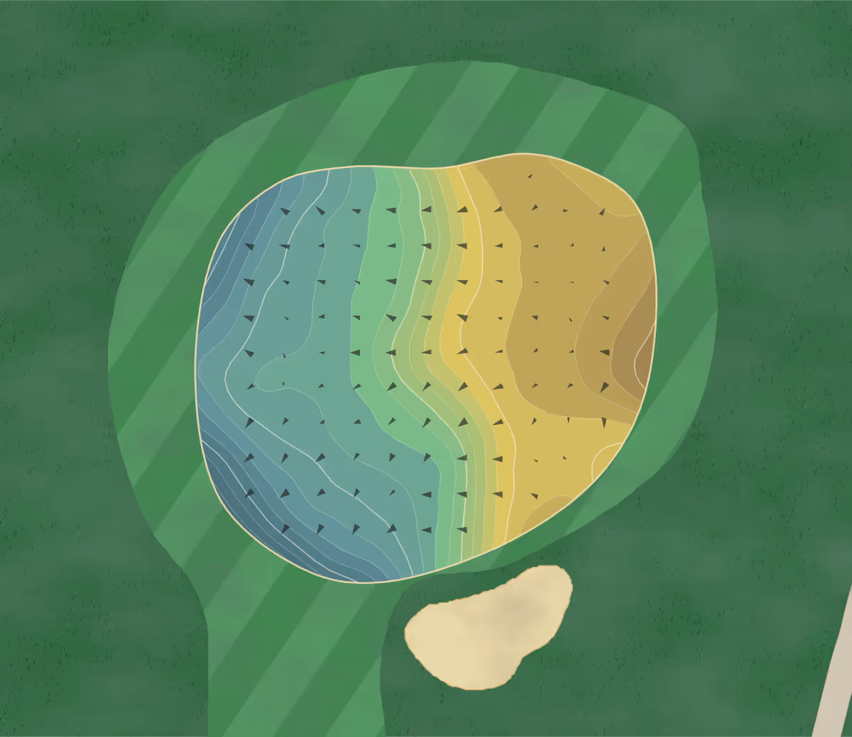 Green contour map of Pinehurst No. 8 in Pinehurst, North Carolina — 465 elevation contours at a 3-inch interval with fall-line arrows, traced from 1-meter lidar