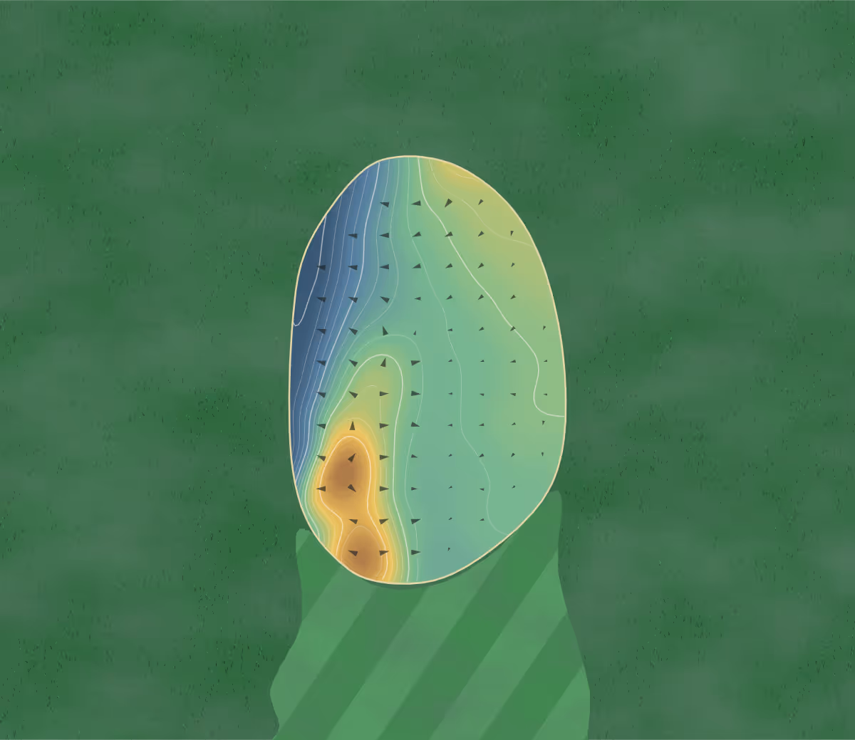 Green contour map of Pines of Georgina in Pefferlaw, Canada: 84 elevation contours at a 8-centimeter interval with fall-line arrows, traced from 1-meter lidar
