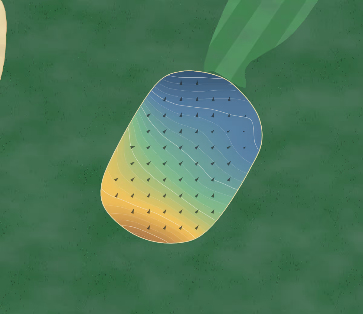 Green contour map of Piney Valley in Fort Leonard Wood, Missouri — 200 elevation contours at a 3-inch interval with fall-line arrows, traced from 1-meter lidar