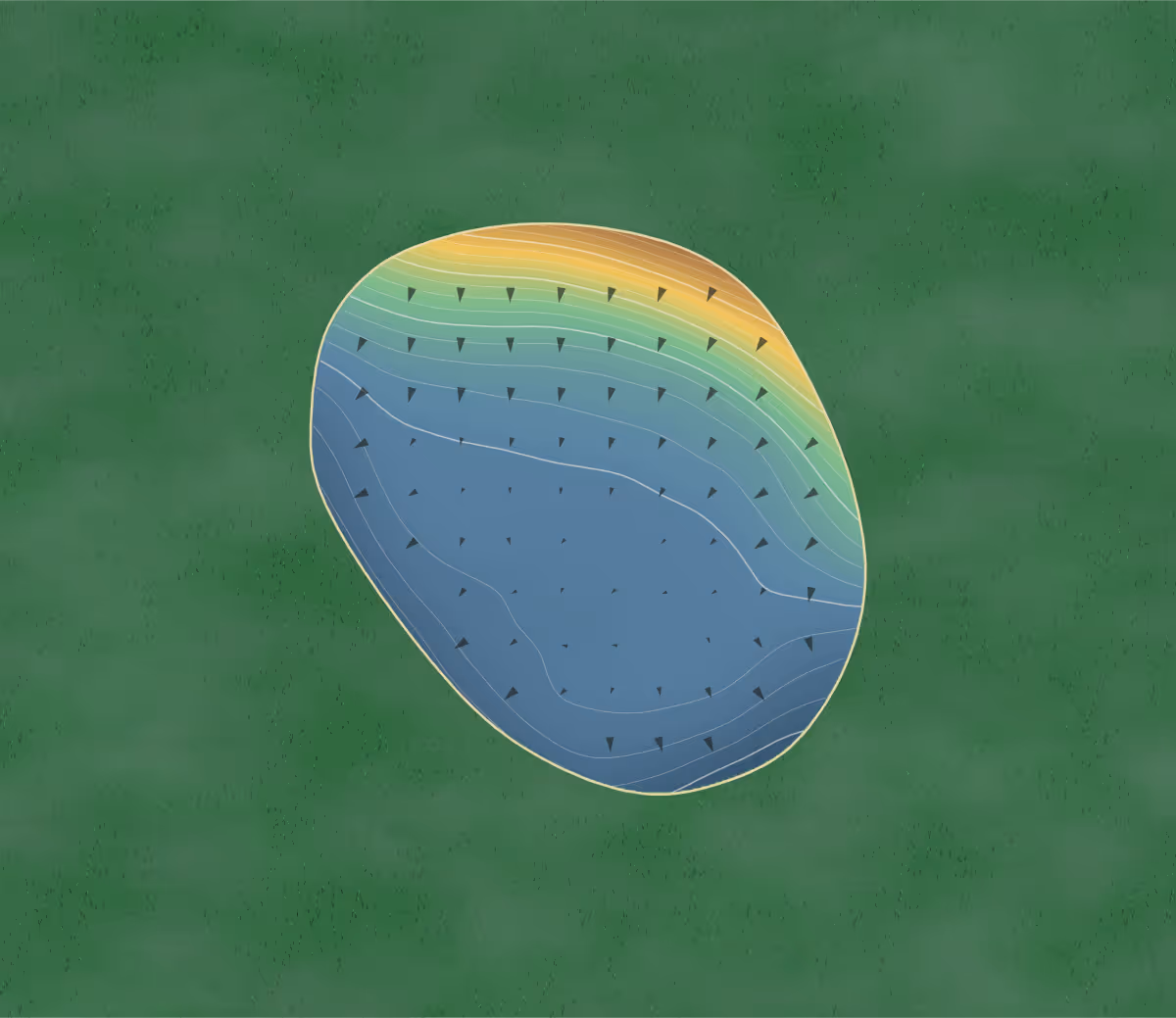 Green contour map of Piopio Aria in Piopio, New Zealand — 220 elevation contours at a 8-centimeter interval with fall-line arrows, traced from 1-meter lidar