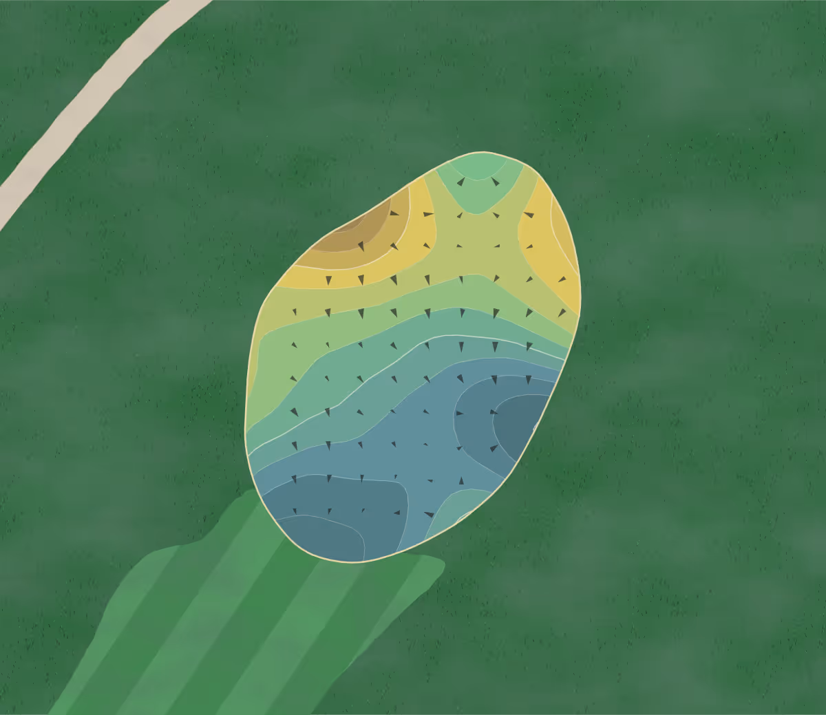 Green contour map of Piper Glen in Springfield, Illinois — 191 elevation contours at a 3-inch interval with fall-line arrows, traced from 1-meter lidar